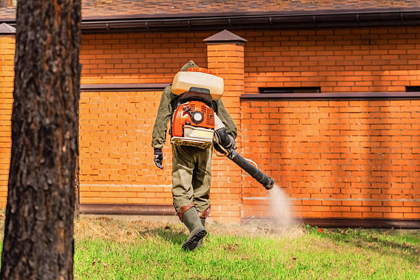 Bed Bug Clearance Verification and Documentation in Indian Shores